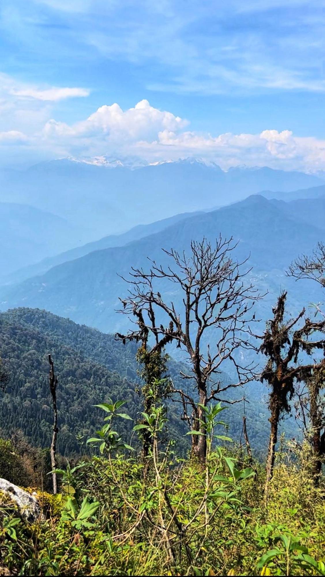 House Of Nomad Hostel Gangtok Luaran gambar